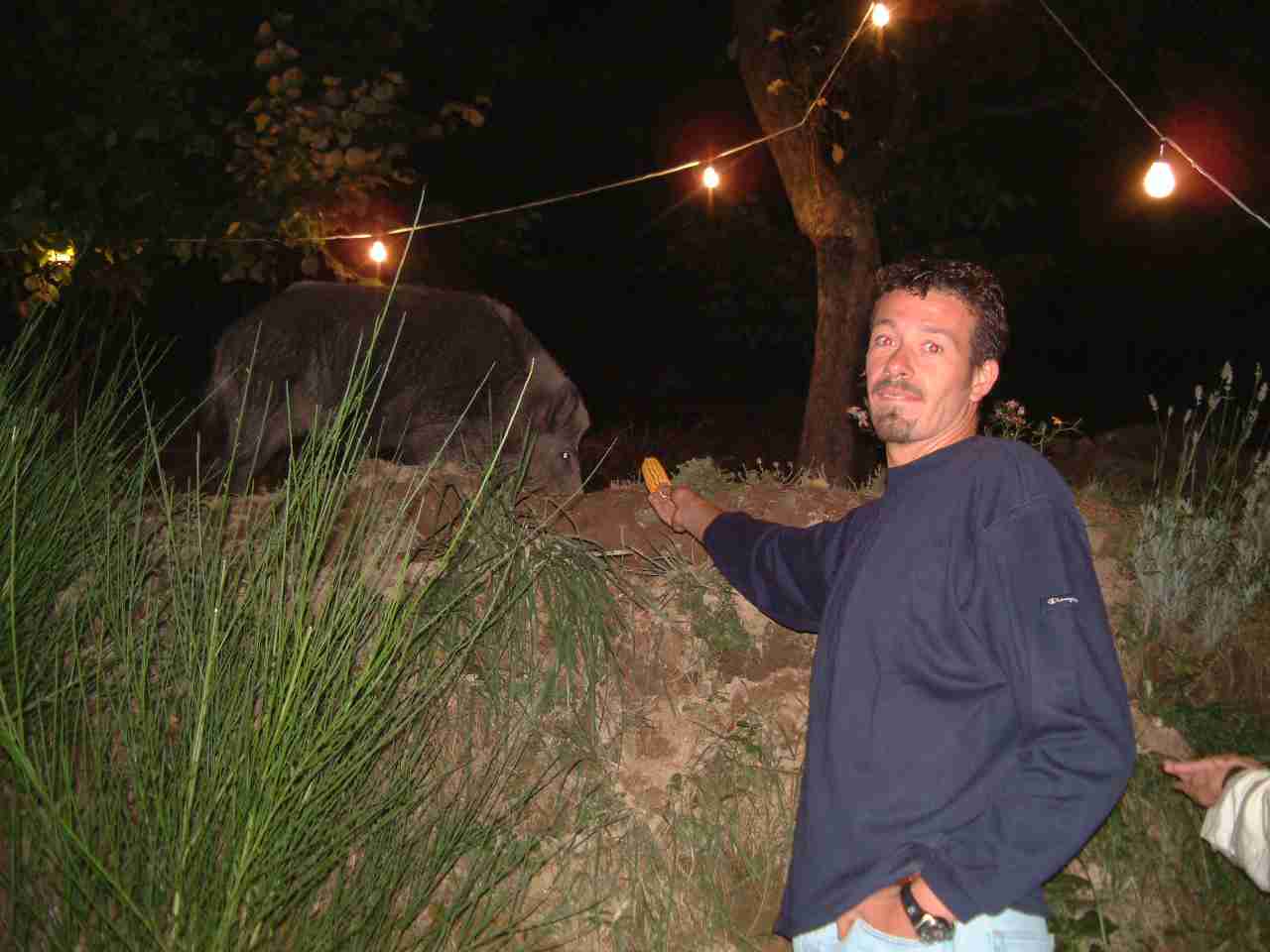  Image name: DSCF0059.JPG 
 width: 1280 pixel 
 height: 960 pixel 
 Size: 63033 bytes 
 Click to enlarge 